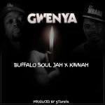 buffalo Souljah Gwenya
