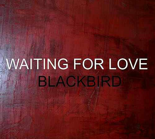 Black Bird – Waiting For Love